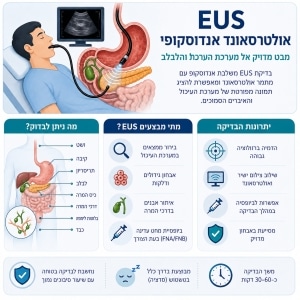 אינפוגרפיקה בדיקת EUS
