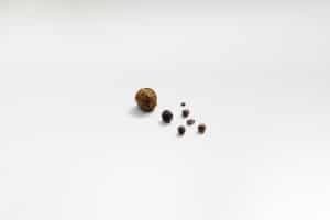 אבני כיס מרה